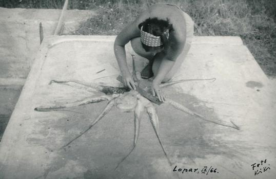 Mirjana Legac, morfometrijska mjerenja i određivanje spola hobotnice; otok Rab, Lopar, snimio Igor Legac, rujan 1966.
